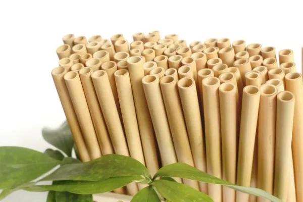 Bamboo Straws - 图片 2